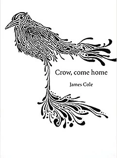 crow_edited.jpg